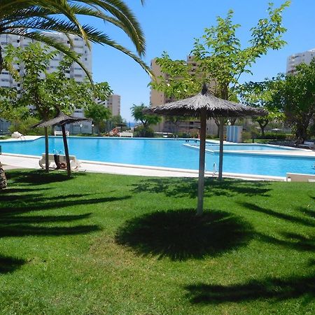 Precious Apartment In Alicante, Playa San Juan Exteriör bild