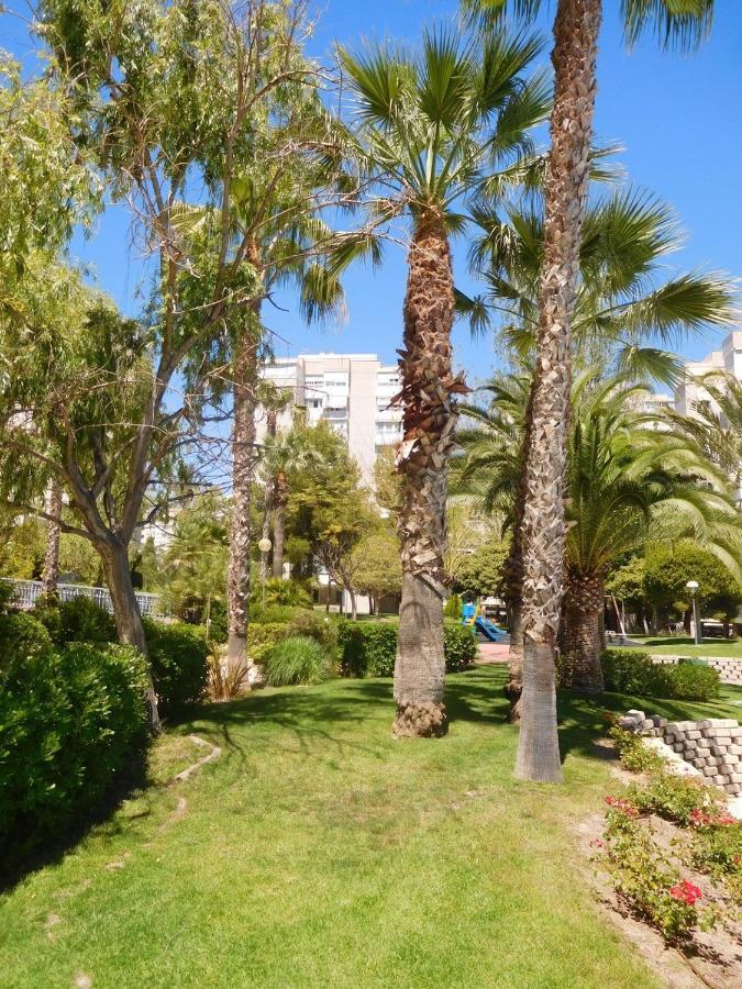 Precious Apartment In Alicante, Playa San Juan Exteriör bild